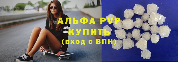 гашик Гусев