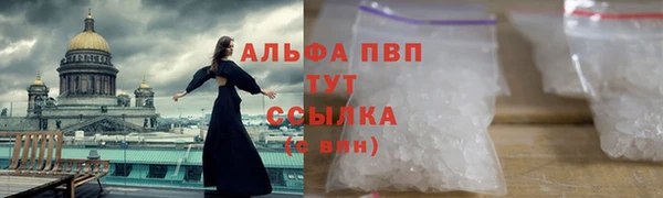 гашик Гусев