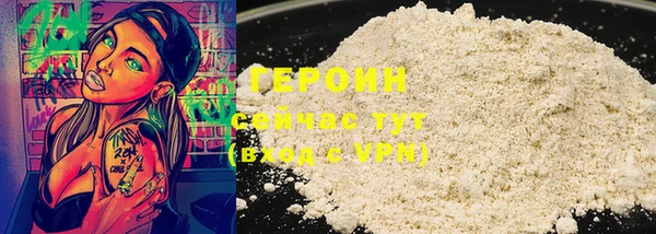 гашик Гусев