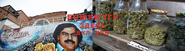 гашик Гусев
