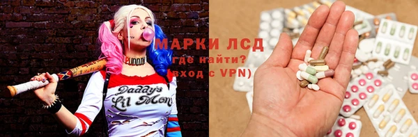 гашик Гусев