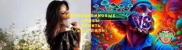 мяу мяу кристалл Гусиноозёрск