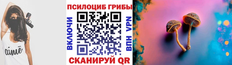 Псилоцибиновые грибы прущие грибы  Вологда 